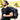 Travel Backpack