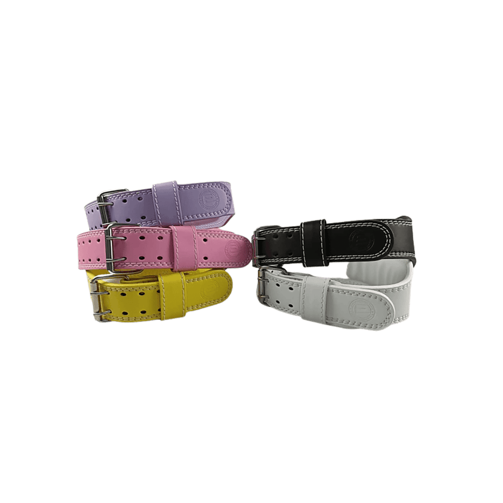 Diverse Color Palette Gym Belt in Leather